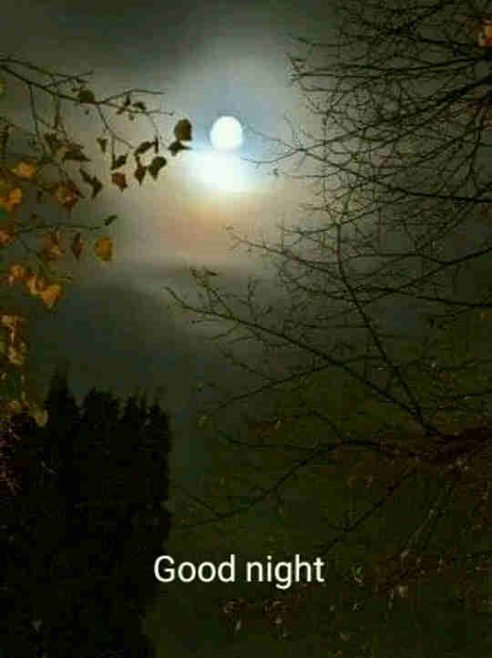 Good Night Blessings